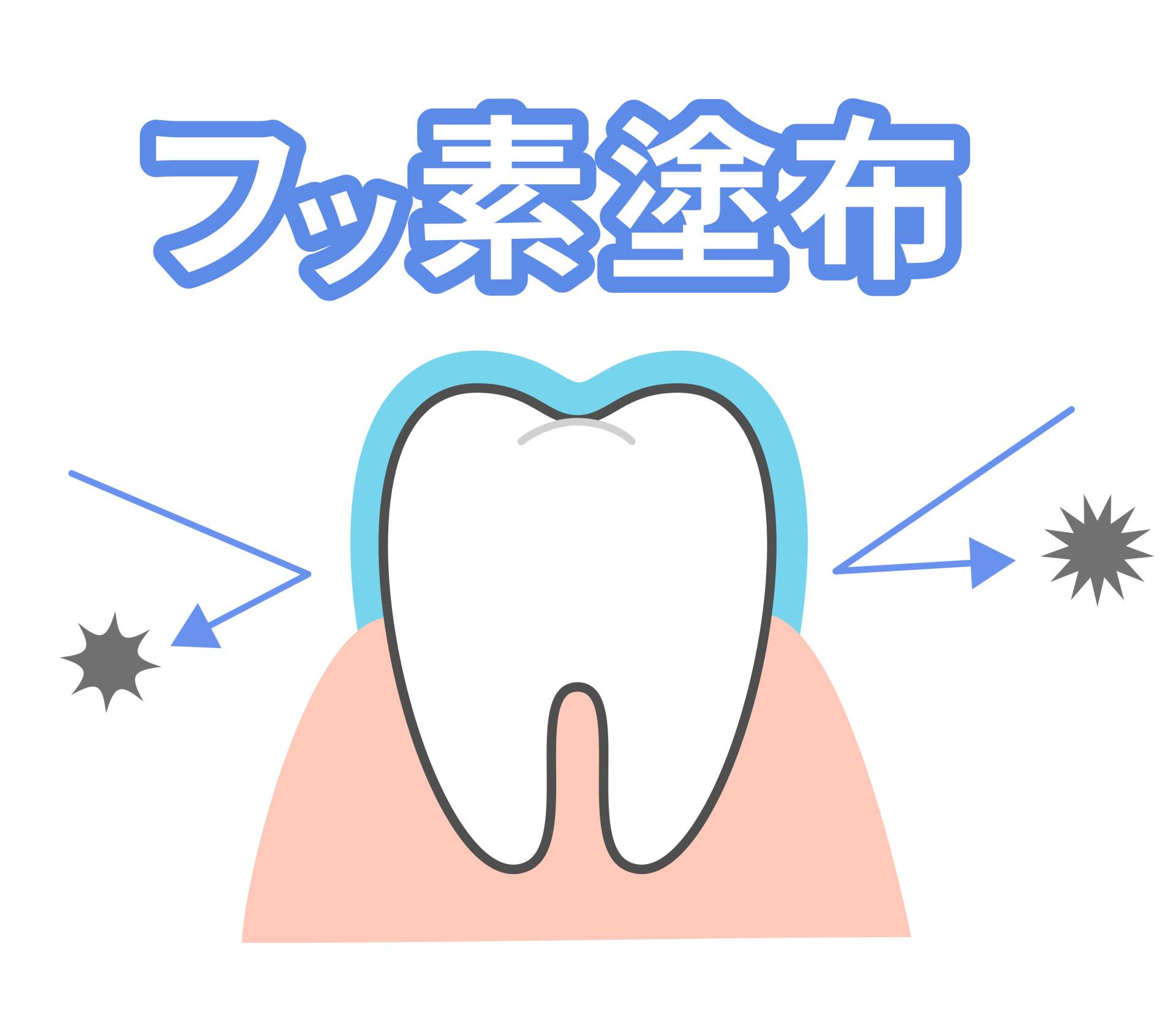 ③フッ素で歯を強くする